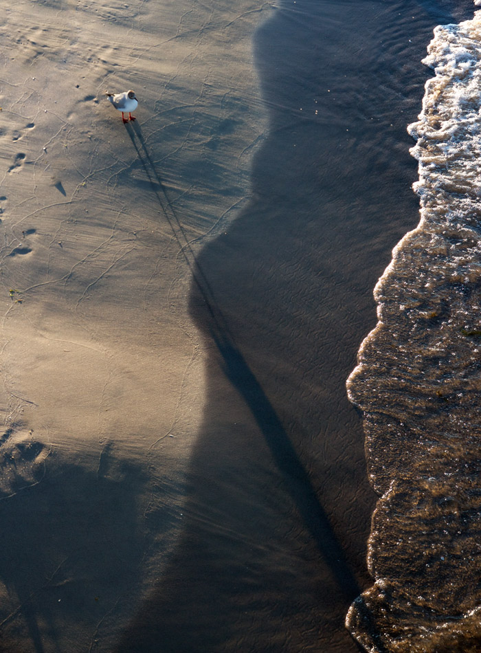 Cast a shadow
