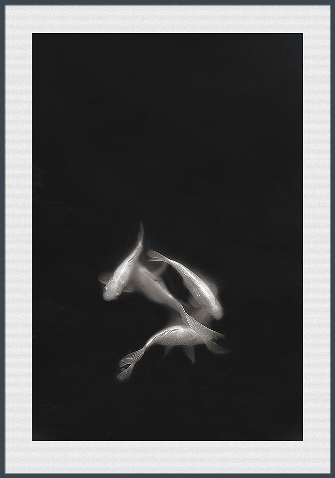 The dance in the pond