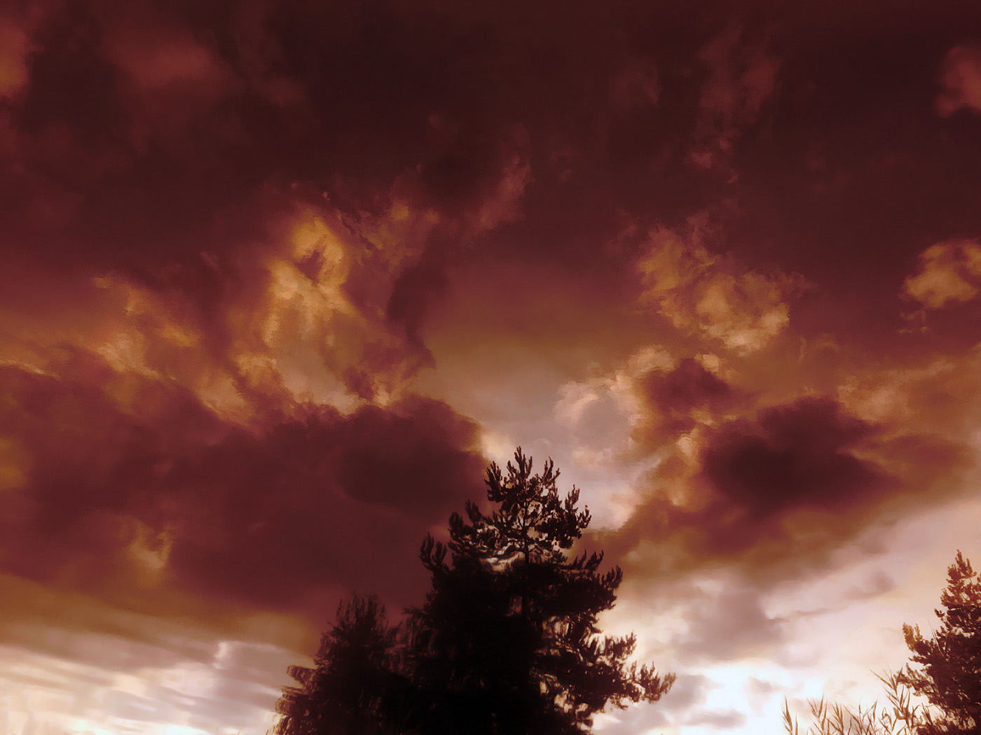 Dragons in the sky