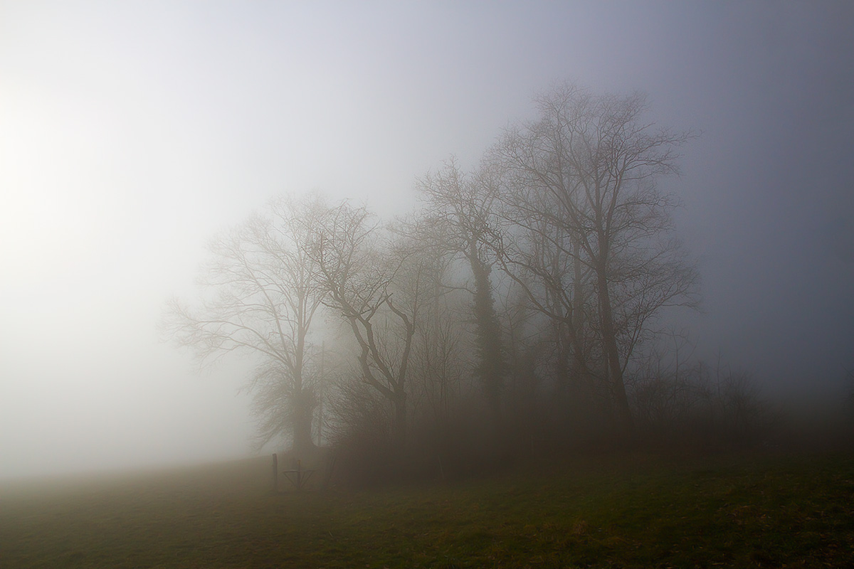 Day and night in fairy land