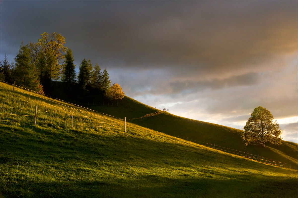 Gently flowing light