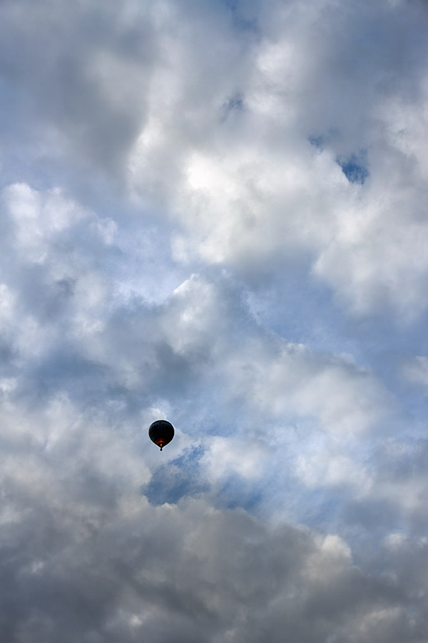 Go with the winds