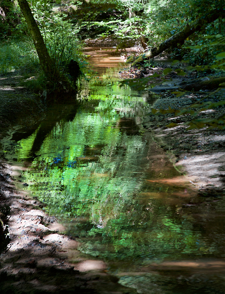 Greenpower #4122