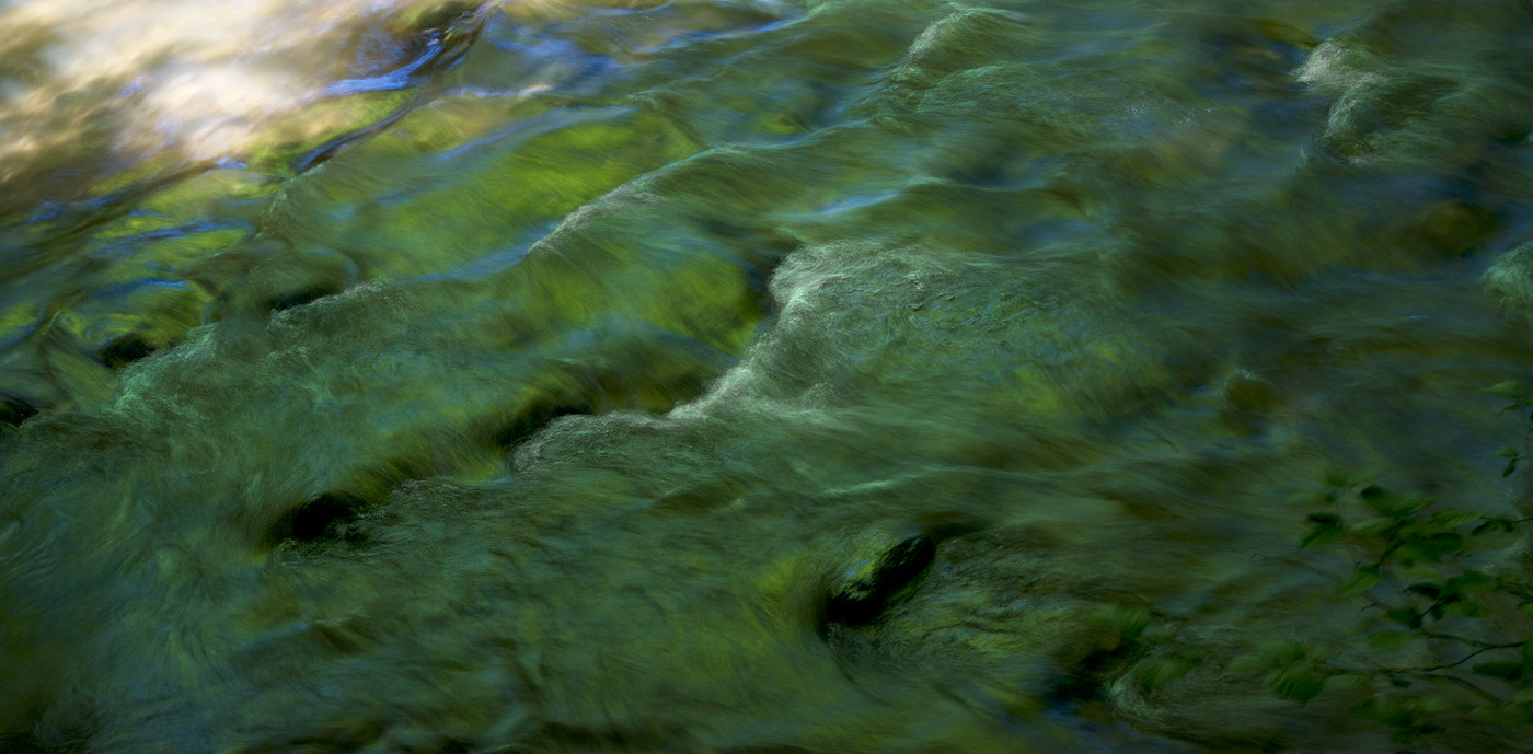 Das Zuhause des kleinen Wassermannes