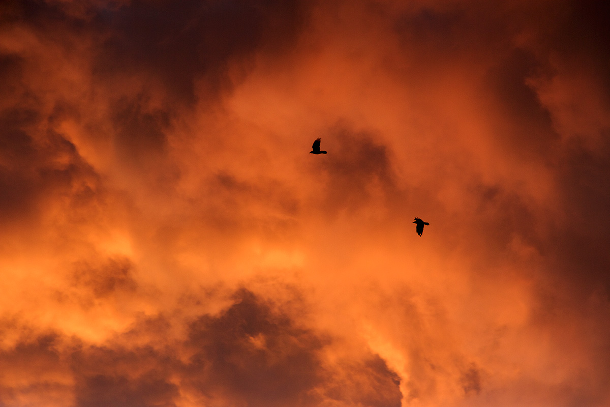 Into the maelstrom