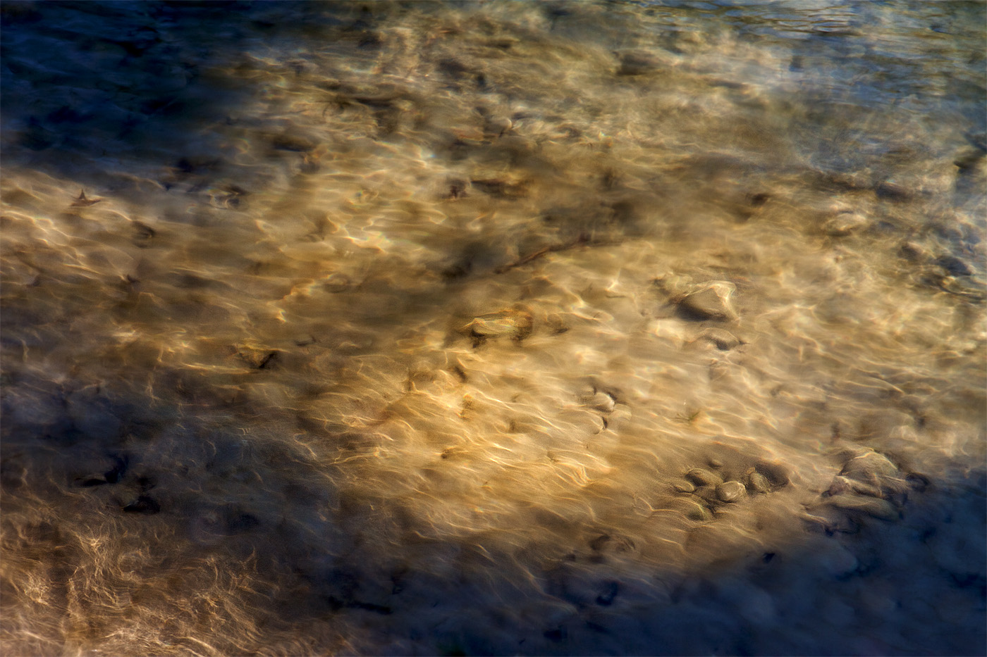 Leben im Fluss