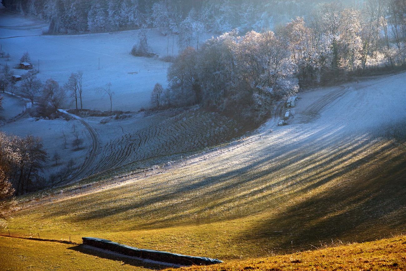 Light and Shadow