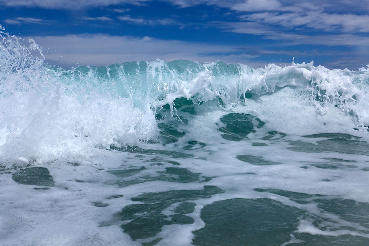 malle_sea_002