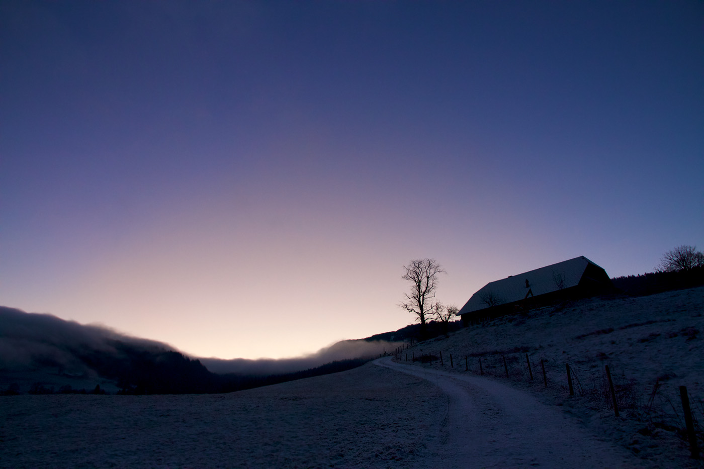 Duftacker Morning glow