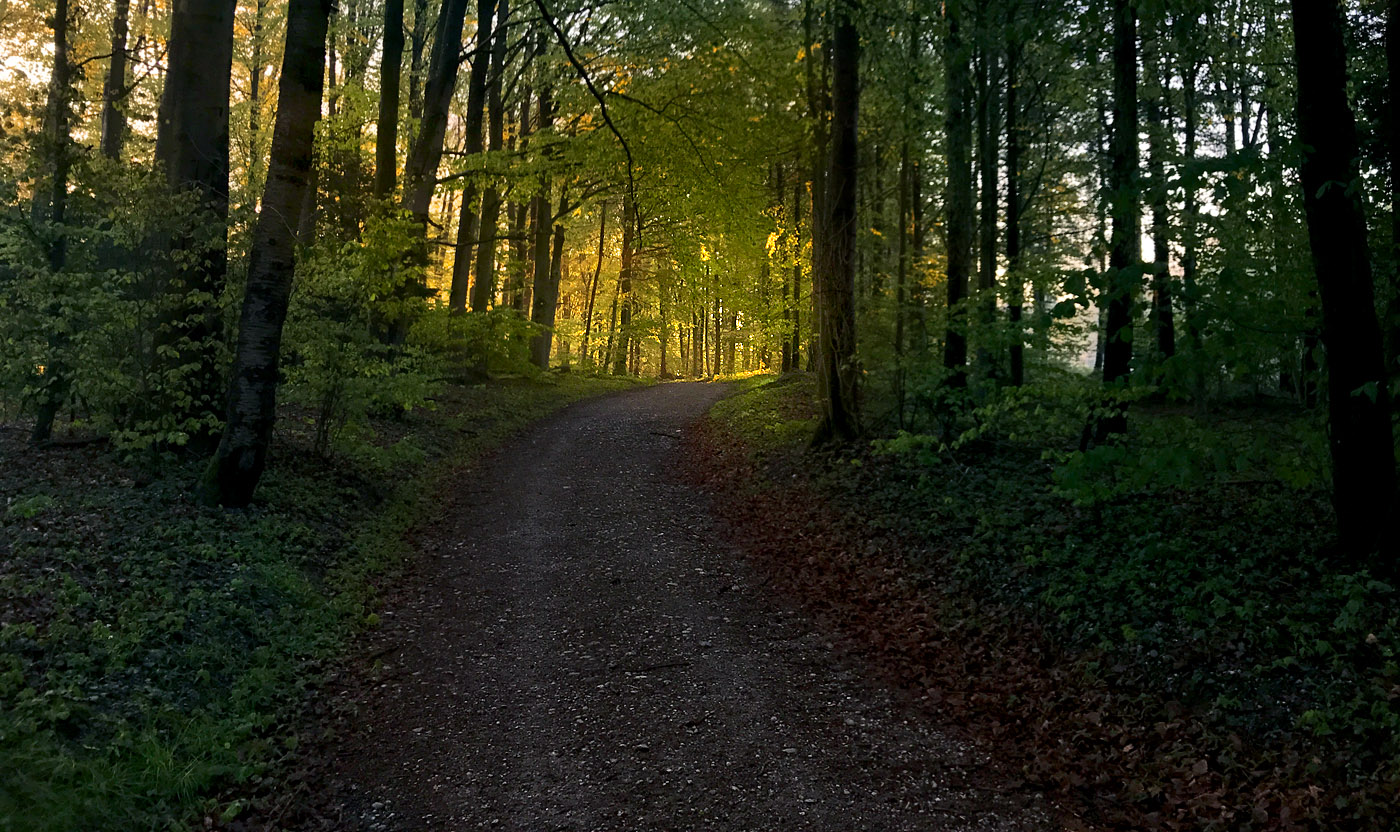 Ominotago 0036 - The path
