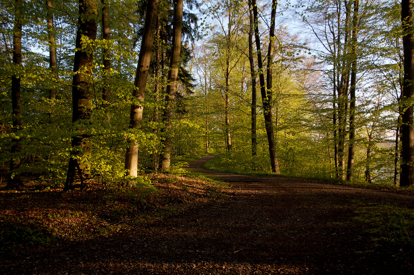 Ominotage chapter 4