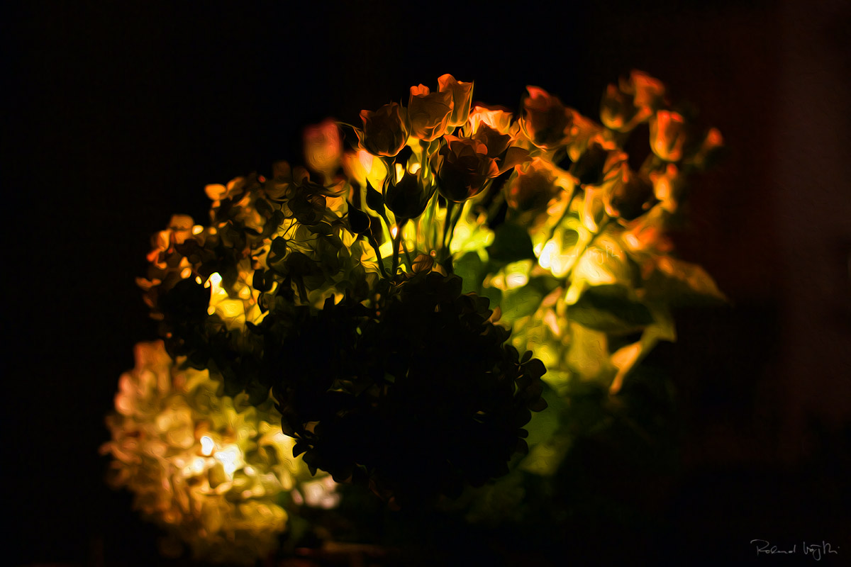 Passionate lights
