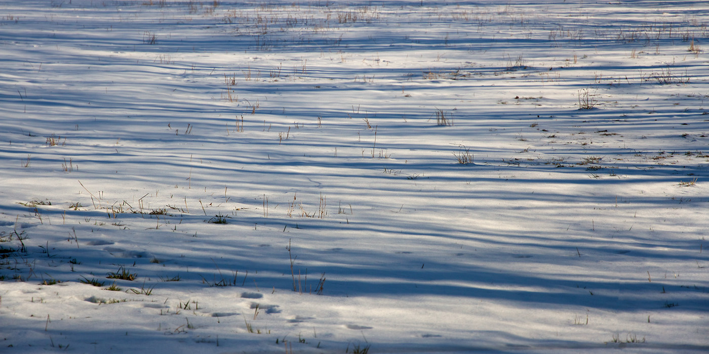 Rhyhtm of passing winter