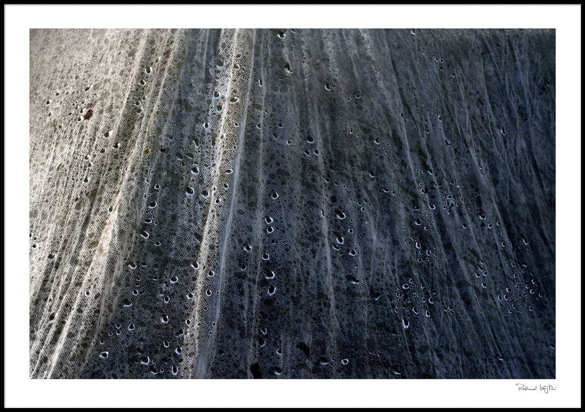 Tears and sun rays woven into the tissue of the day