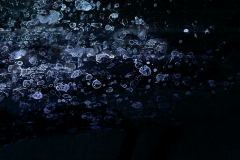 Bathypelagial - life goes on