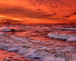 Blood red sea