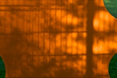colorcontrast_1200