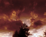 Dragons in the sky