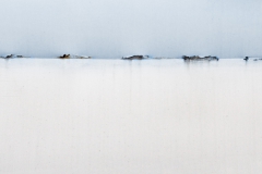 The silence of the glacier