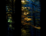 enroutewithfriends_2_950