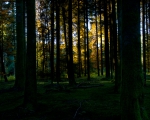 enroutewithfriends_3_1200