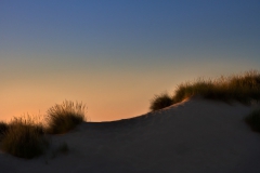 eveningsun_1200