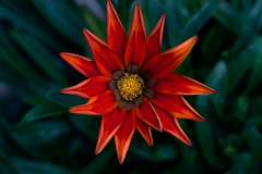 Everyone in the crowd is beautiful up-close