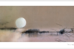 Full moon at the lake