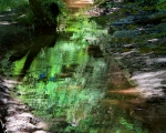 Greenpower #4122