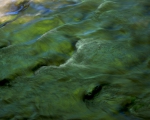 Das Zuhause des kleinen Wassermannes