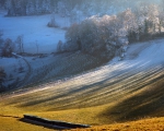 Light and Shadow