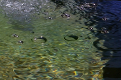 A moment in a bubble