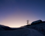 Duftacker Morning glow