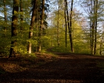 Ominotage chapter 4