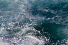 The garden of poseidon