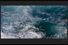 The garden of poseidon