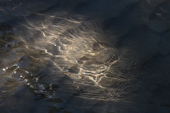 Reflections upon reflections /2