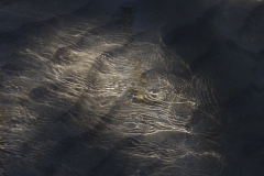 reflections_upon_reflections_3_1200