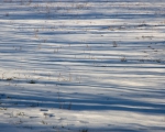Rhyhtm of passing winter
