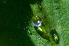 Shine on you crazy diamond