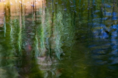 Soul of a pond /2