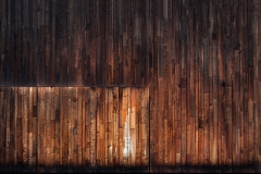 Surrounded by darkness