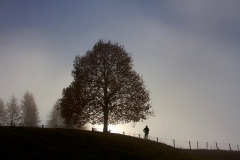 The guardian and his friend