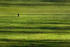 thousandsteps_1200