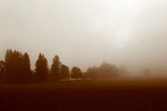 Towards the possibilities