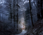 Towards the light
