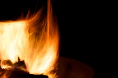 Transformational forces