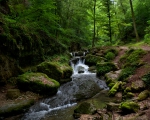 Verenaschlucht