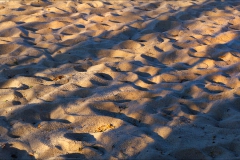 Waves of day and night