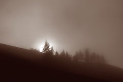 When the silence starts to speak